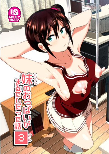 Download Imouto no Oppai ga Marudashi Datta Hanashi 3