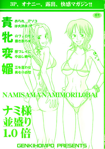 Download Namimori 1.0-Bai