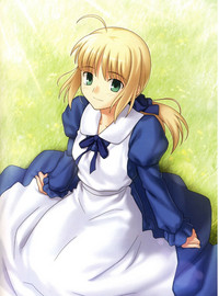 Download Fate stay nigh saber Avalont