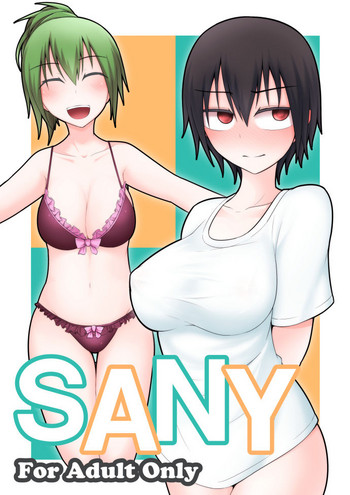 Download SANY