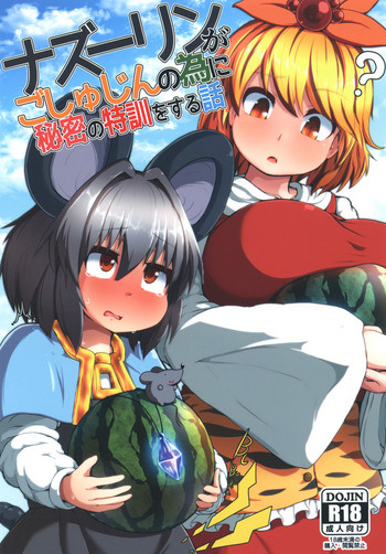 Download Nazrin ga Goshujin no Tame ni Himitsu no Tokkun o Suru Hanashi