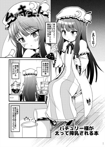 Download Patchouli-sama ga Futotte Sakunyuu Sareru Hon