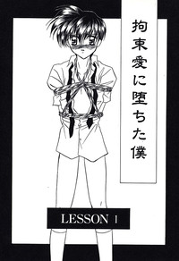 Download Bishounen Kinbaku Nisshi