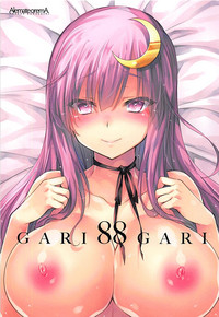 Download GARIGARI88