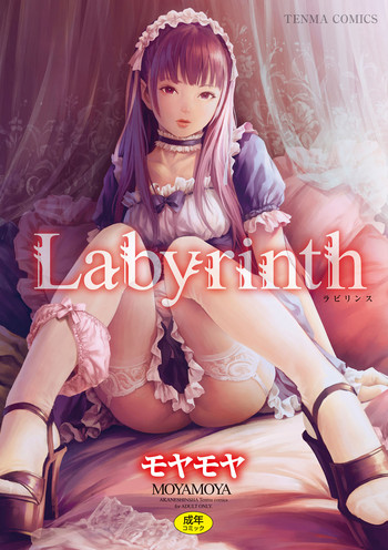 Download Labyrinth