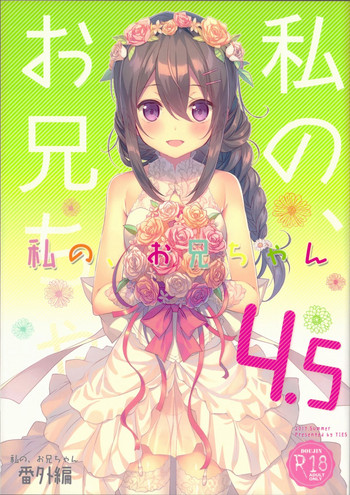 Download Watashi no, Onii-chan 4.5 Bangaihen