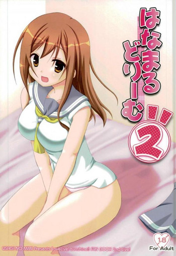 Download Hanamaru Dream 2