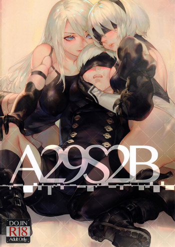 Download A29S2B