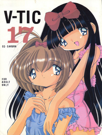 Download V-TIC 17