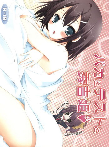 Download Baka to Test to Hideyoshi Hime