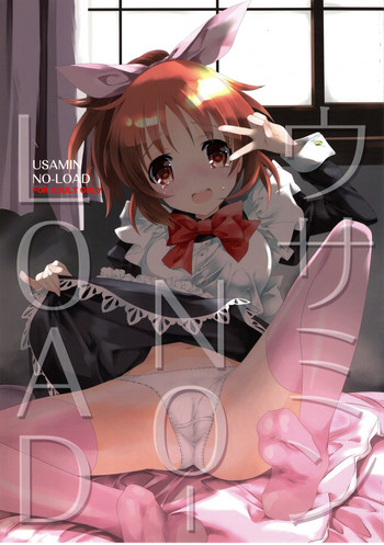 Download USAMIN NO-LOAD