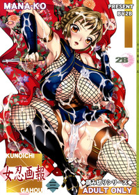 Download Kunoichi Gahou 3