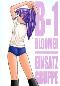 Download B-1 BLOOMER