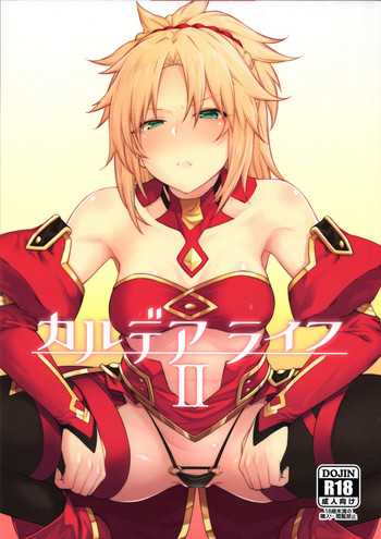 Download Chaldea Life II