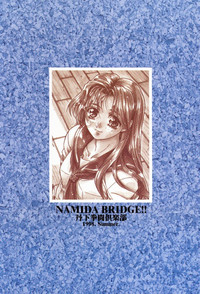 Download NAMIDA BRIDGE!!