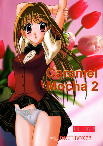 Download Lunch Box 72 - Caramel Mocha 2