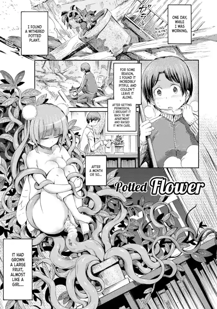 Download Hachi no Ue no Flower | Potted Flower