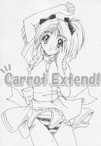 Download Carrot Extend!