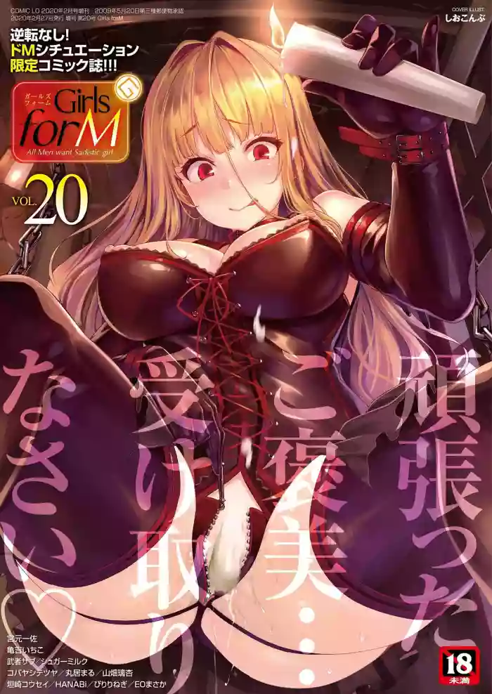 Download Girls forM Vol. 20