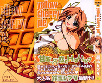 Download Yellow Cherry Pie