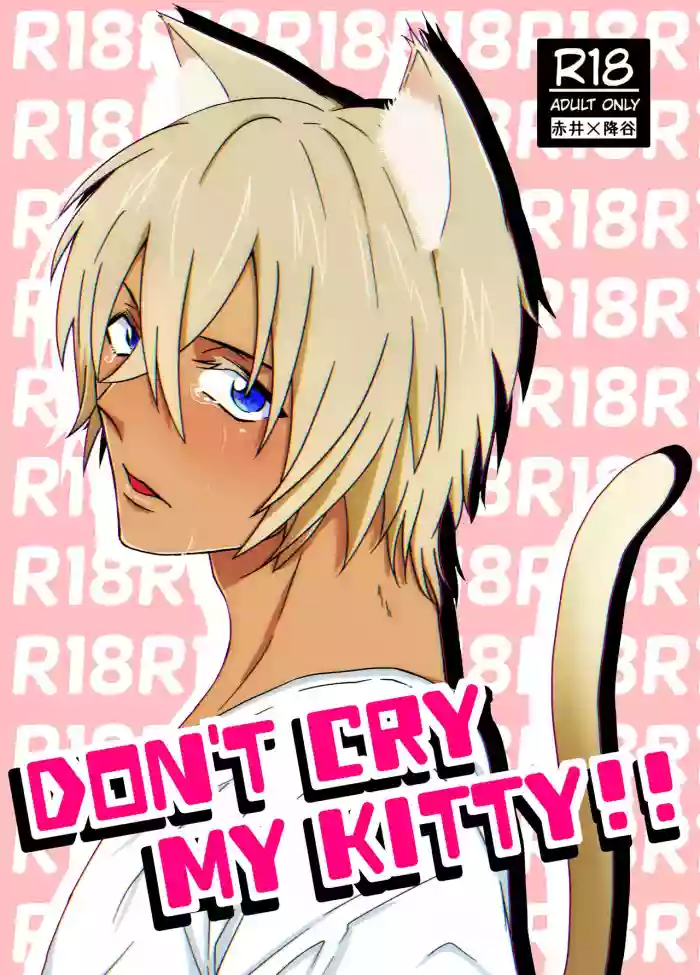 Download DON'T CRY MY KITTY!!