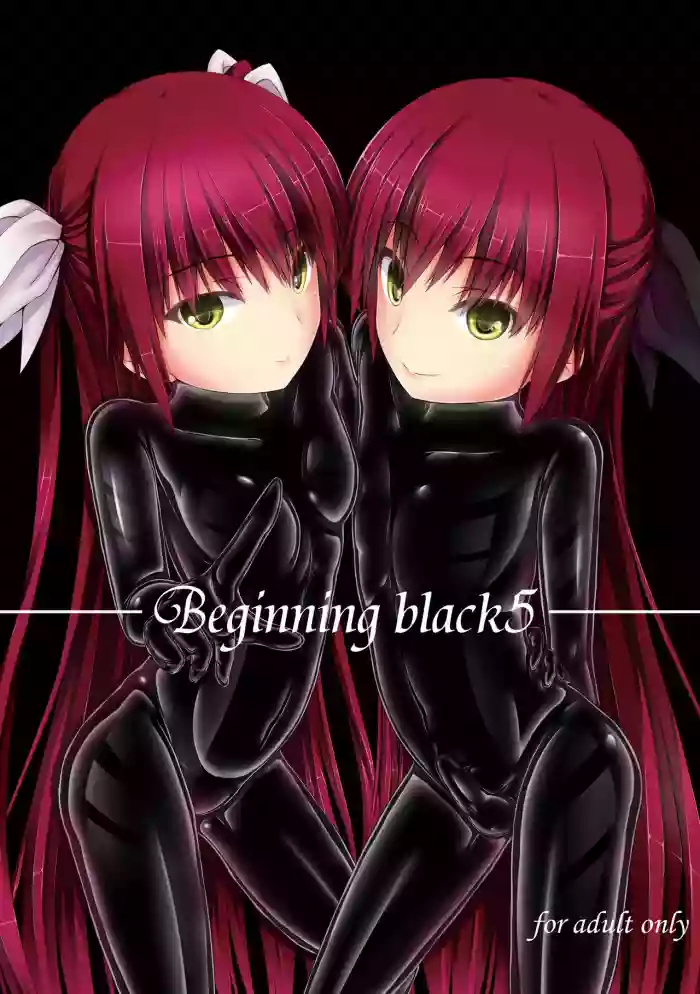 Download Beginning black5