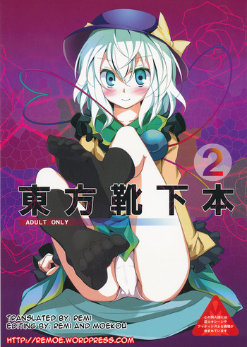 Download Touhou Kutsushita Bon 2 | Touhou Sock Book 2