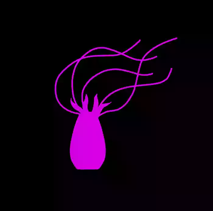 Download Pink Tentacle Creature