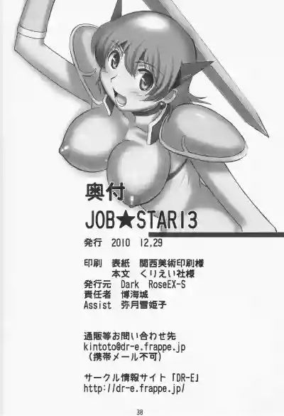 Download JOB STAR 13【不可视汉化】