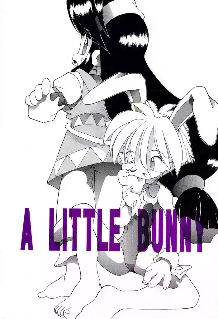 Download A LITTLE BUNNY