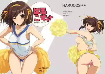 Download HARUCOS++