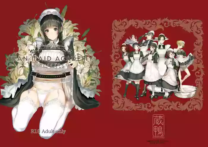 Download SWAN MAID ACADEMY