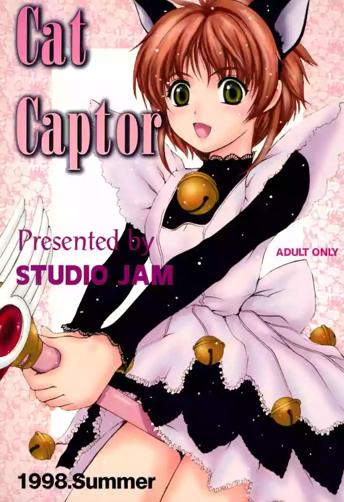 Download Cat Captor