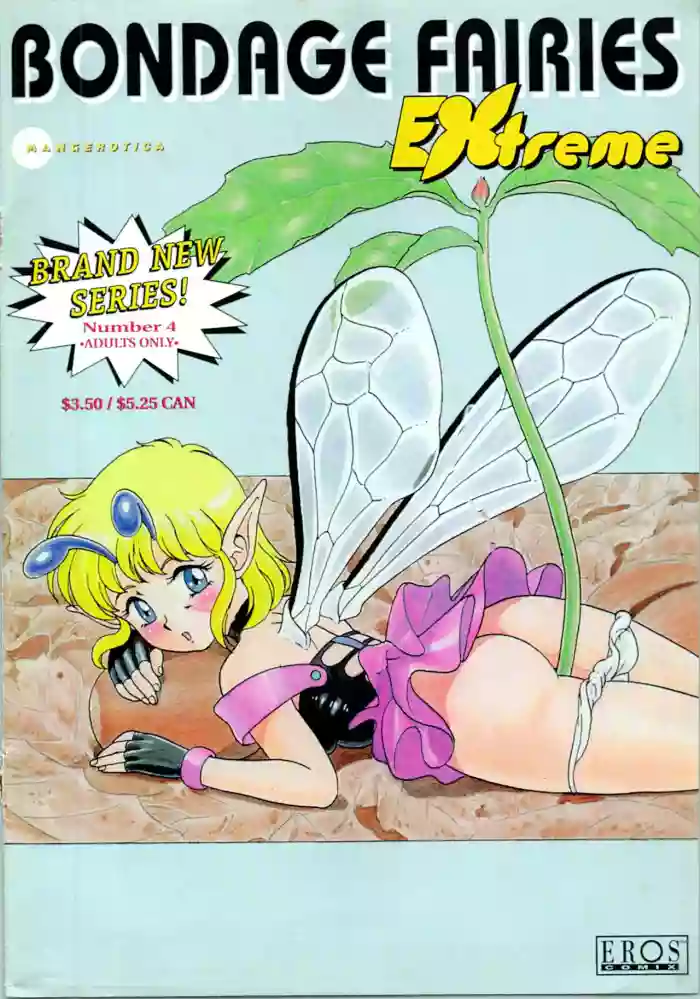 Download Bondage Fairies Extreme 4