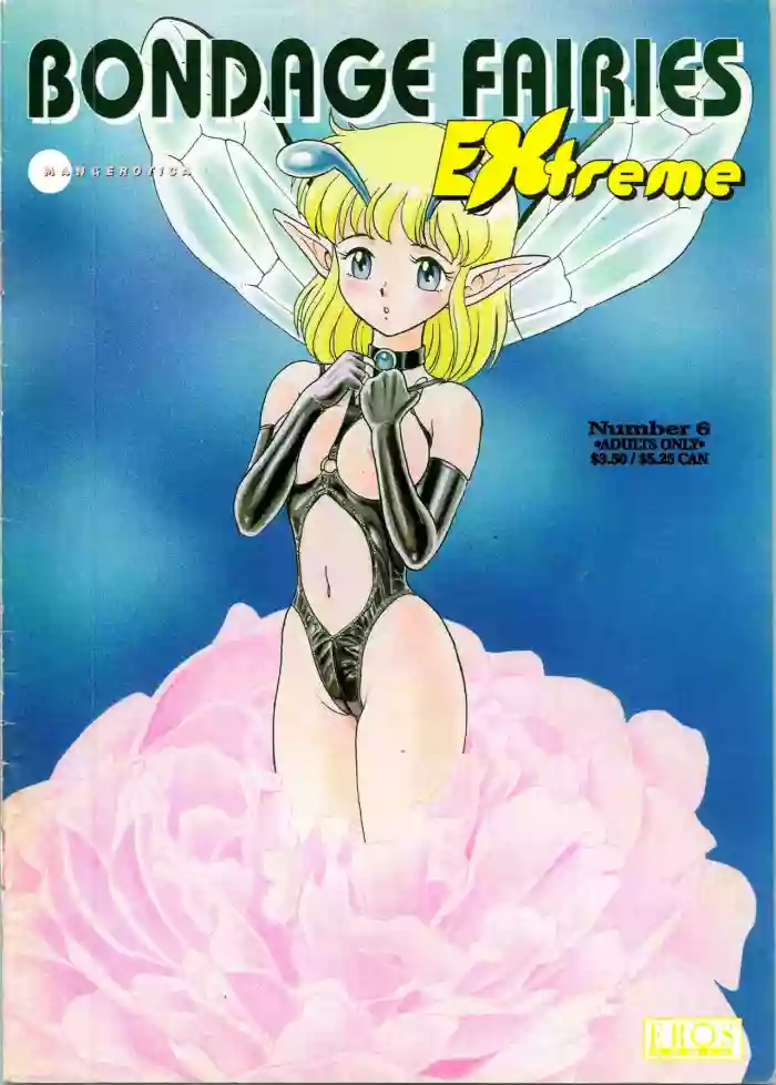 Download Bondage Fairies Extreme 6