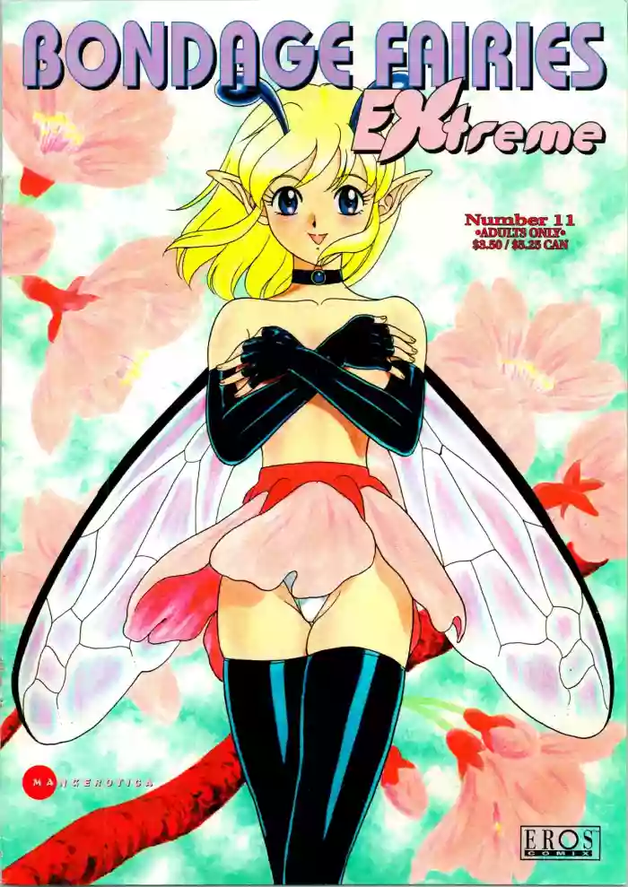 Download Bondage Fairies Extreme 11