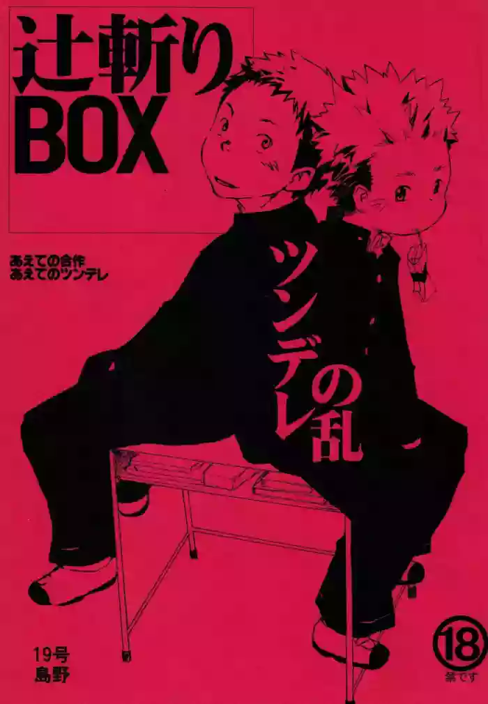 Download Tsujigiri BOX