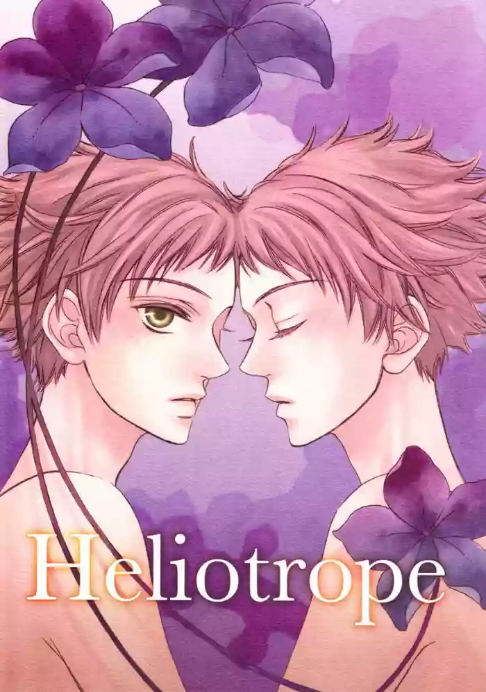 Download Heliotrope