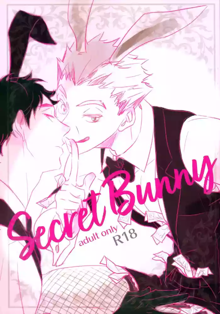 Download Secret Bunny