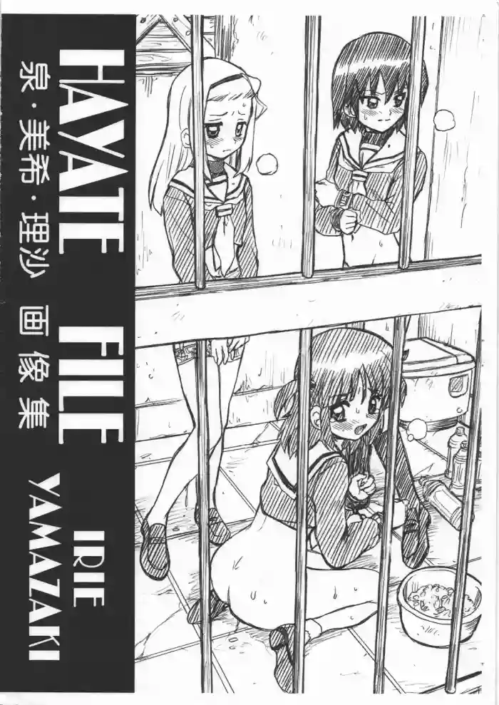 Download HAYATE FILE - Izumi Miki Risa Gazoushuu