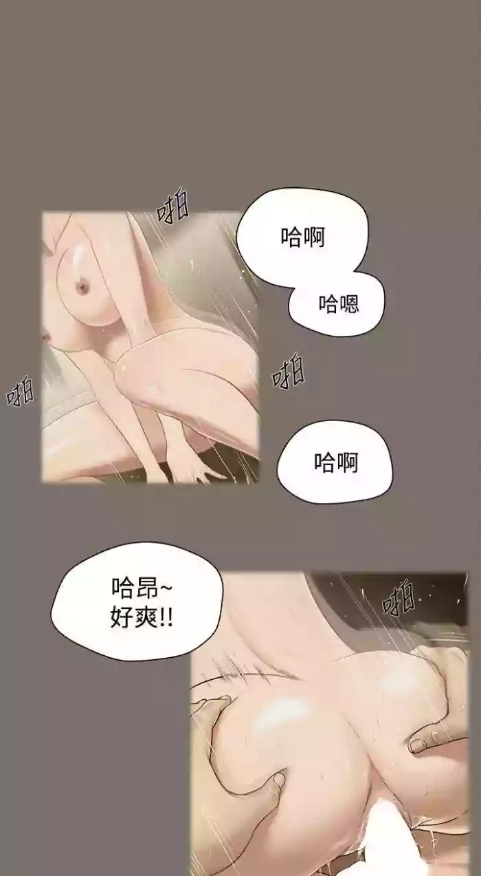 Download 流浪貓 1-40