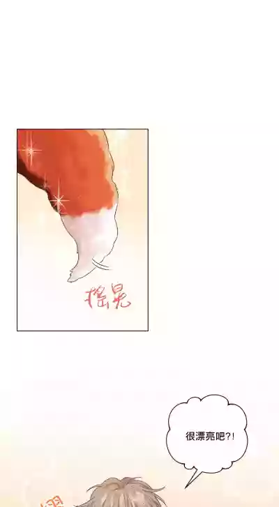 Download 奇妙玩具来袭 Peach, Pitch Tail 01+02