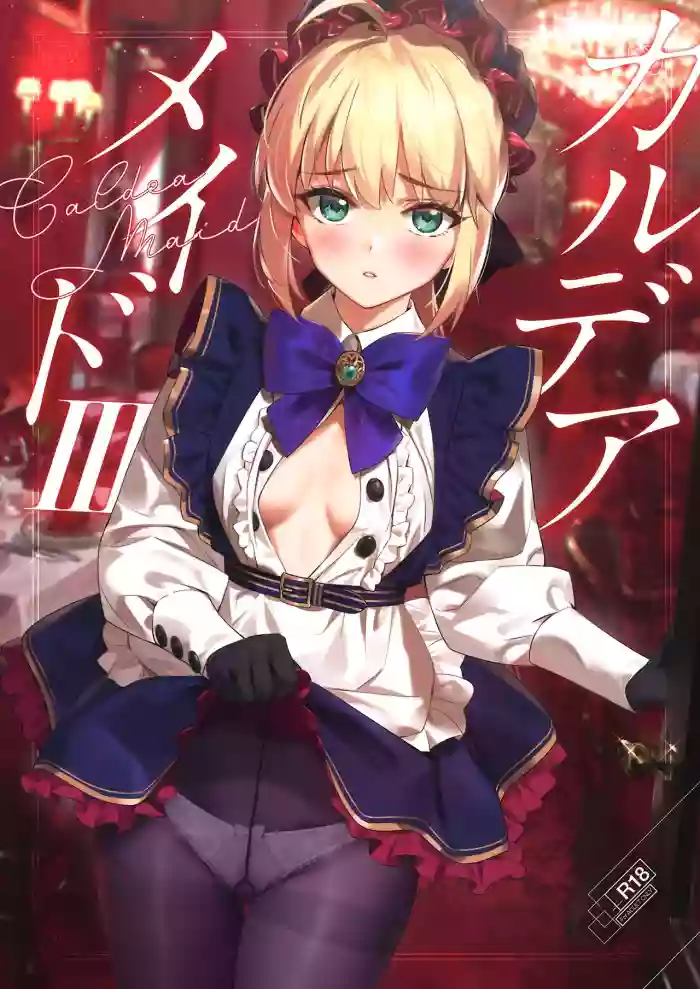 Download Chaldea Maid III