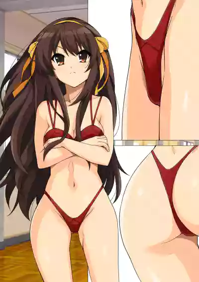 Download Haruhi Lingerie Collection 01