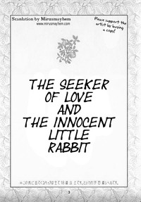 Download The Seeker of Love and the Innocent Little Rabbit