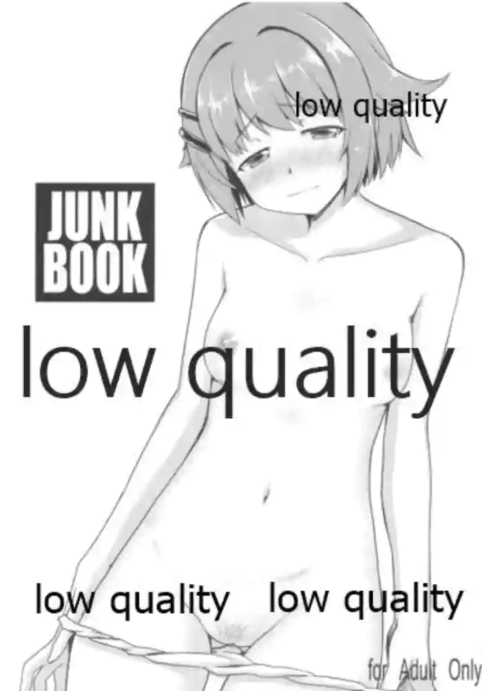 Download JUNK BOOK