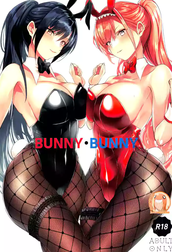 Download BUNNY‧BUNNY