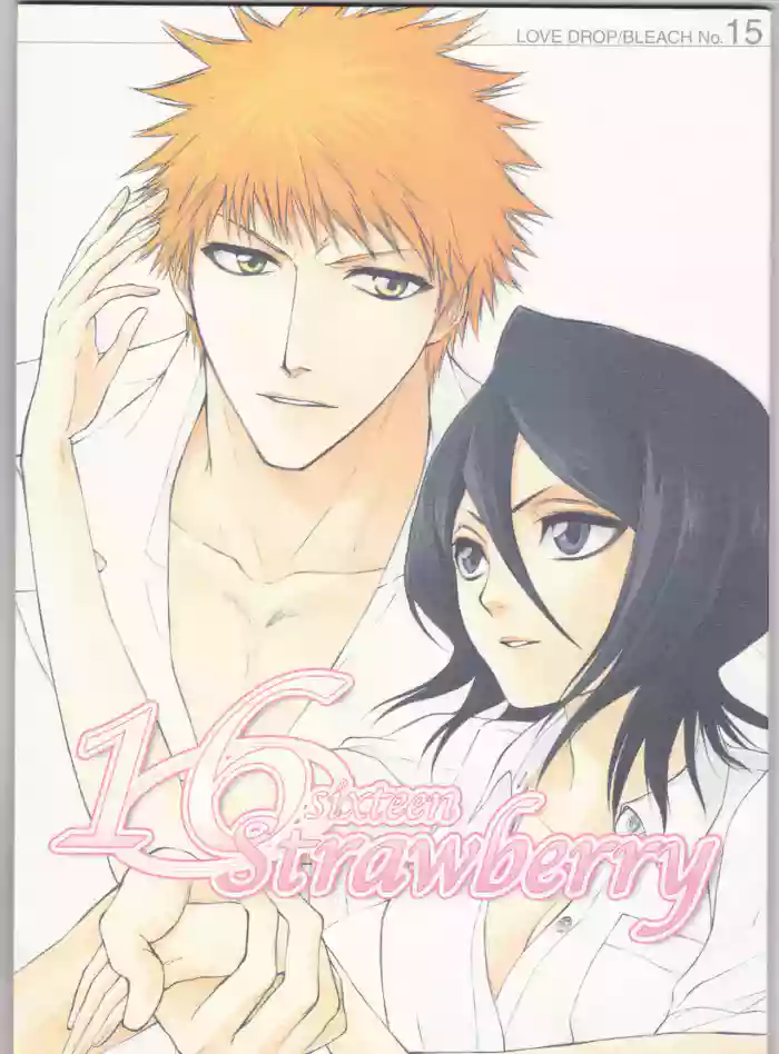 Download 16Strawberry