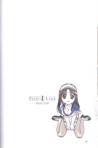 Download Petit Link 4