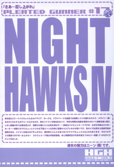 Download Pleated Gunner #17 - Night Hawks 4